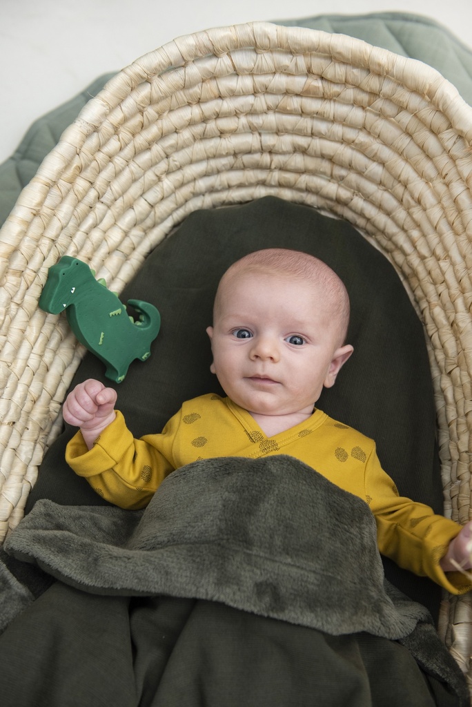 BADSPEELGOED, Mr. Crocodile, Natural Rubber Toy, groen, krokodil, natuurlijk rubber/latex, vanaf 0 maand, Playtime