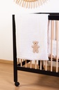 DEKEN, 80x100cm, Teddy, uni/uni, brod beer, jersey/tetra, TOG 2.5, voor wieg/draagmand/park