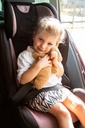 GORDELBESCHERMER, teddy beige, Seatbelt Cushion, bruin, uni, geschikt voor autogordel, Universeel model, 1 stuk(s)