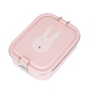 BROODDOOS, Mrs. rabbit, Lunch Box small, konijn, RVS, 13x6x17cm onderverdeling 