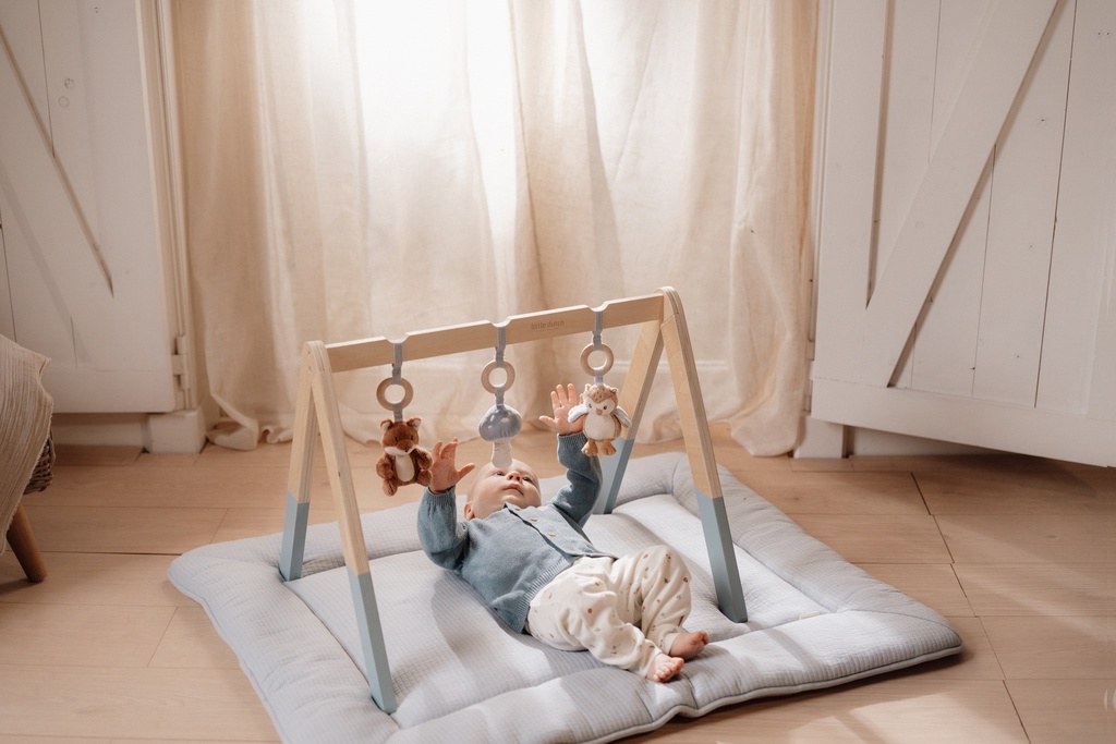 Little Dutch | Babygym Forest Friends Blauw +0M