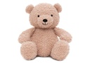 Stuffed Animal Teddy Bear Wild Rose