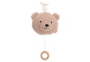 Musical Hanger Teddy Bear Wild Rose