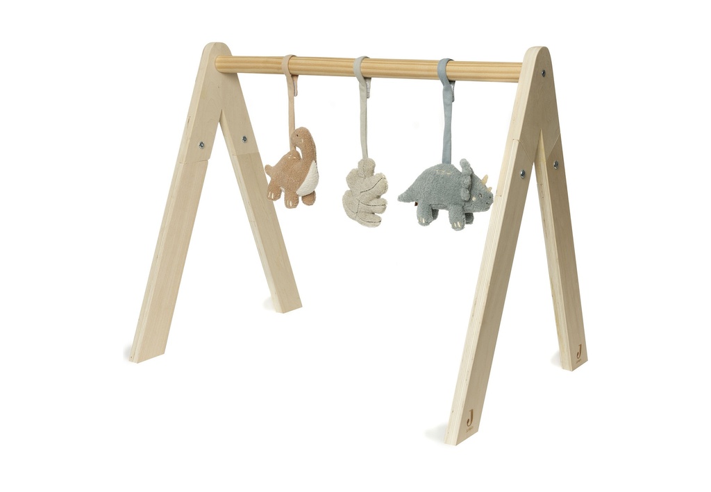 Baby gym toys Roarsome