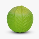 Oli & Carol Green Cabbage Baby Ball